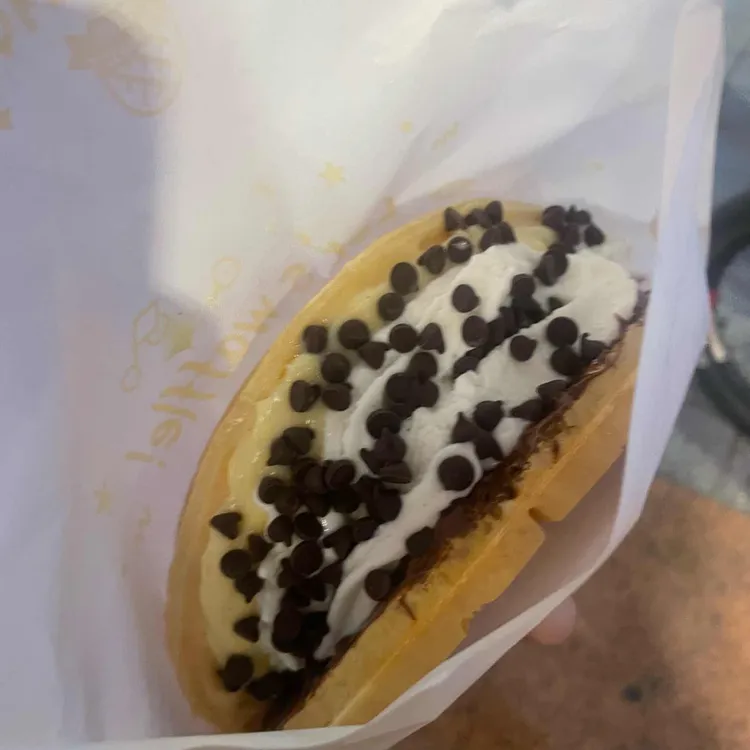 와플대학 사진 2