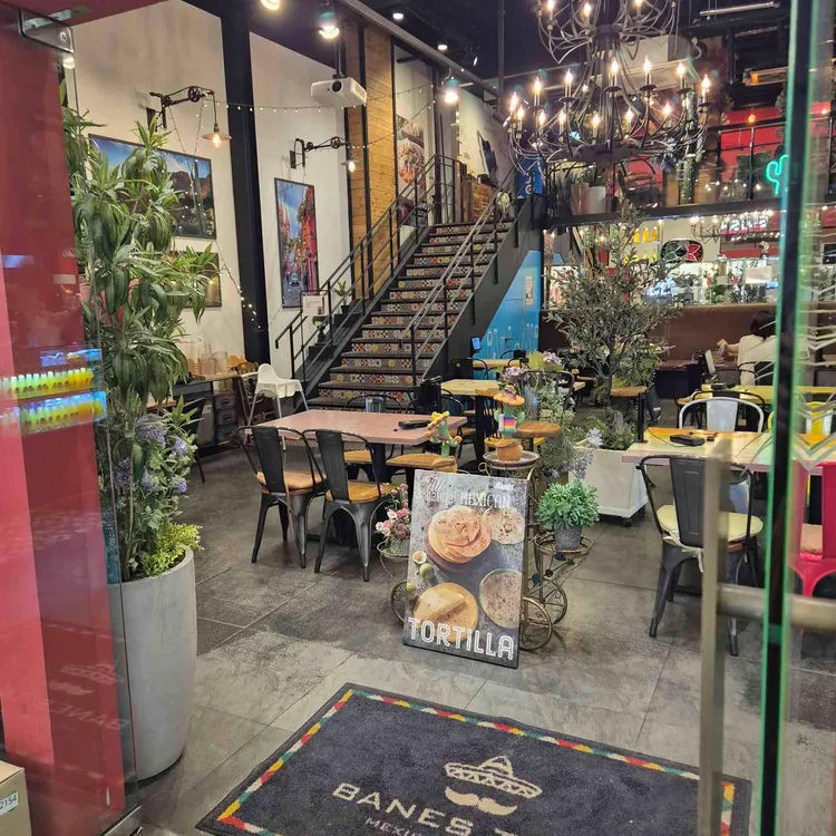 바네스타코 대표 사진
