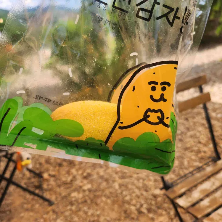 감자밭 대표 사진