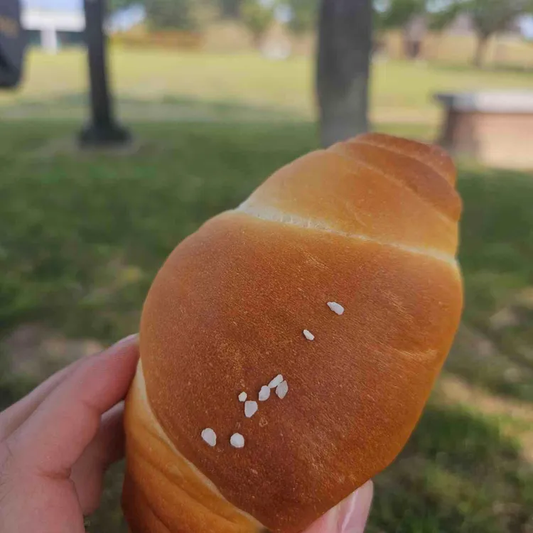 데네브 대표 사진