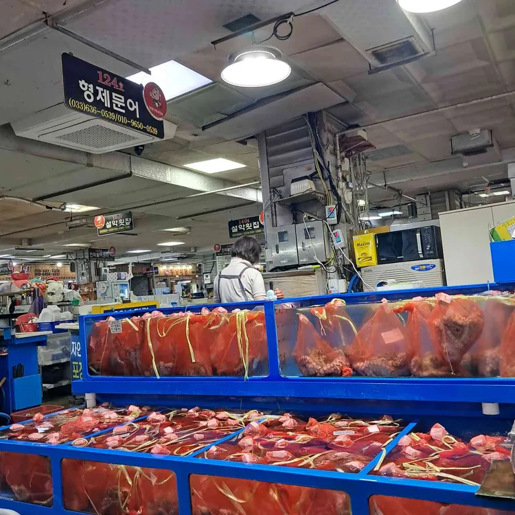 형제문어 대표 사진