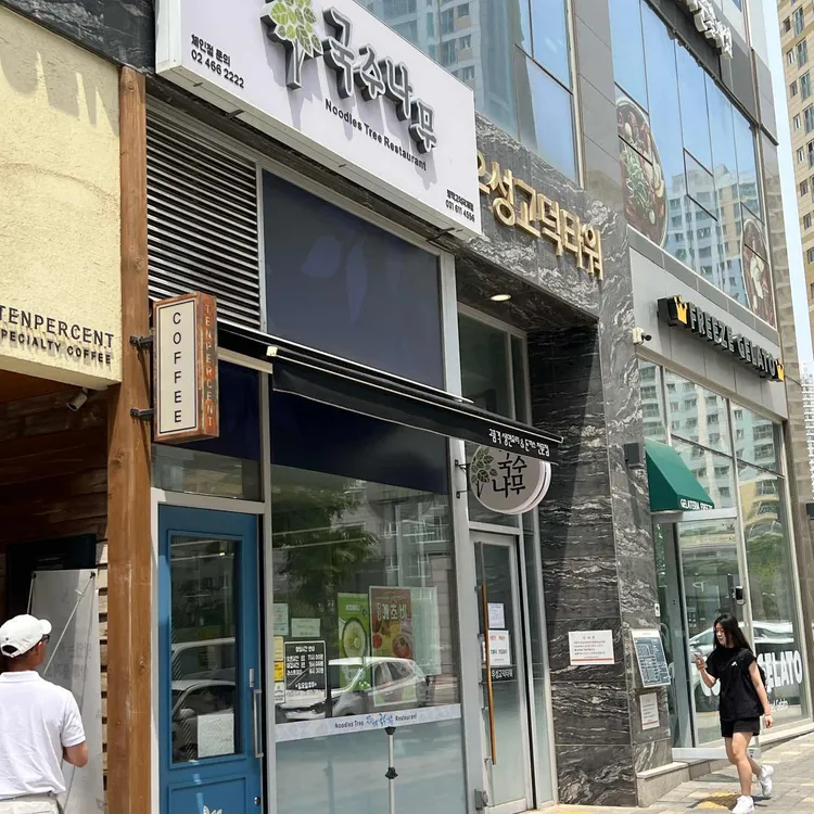 국수나무 대표 사진