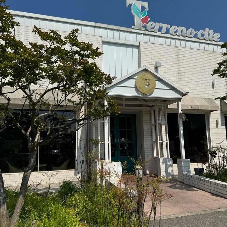 떼레노시떼스페셜 대표 사진