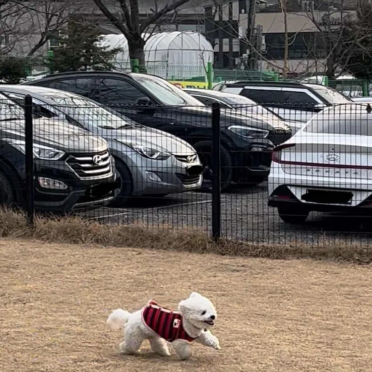 하비파크 대표 사진