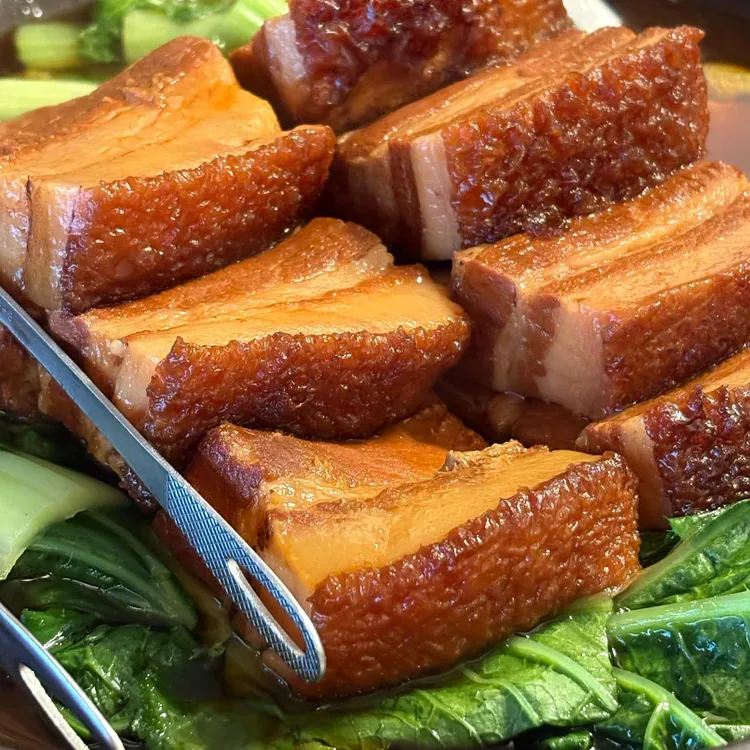목란 사진