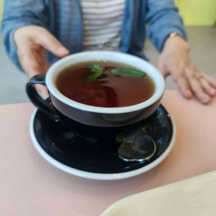 하피 대표 사진