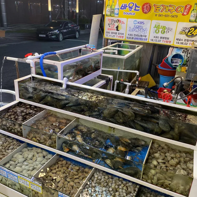 바운스조개구이 대표 사진