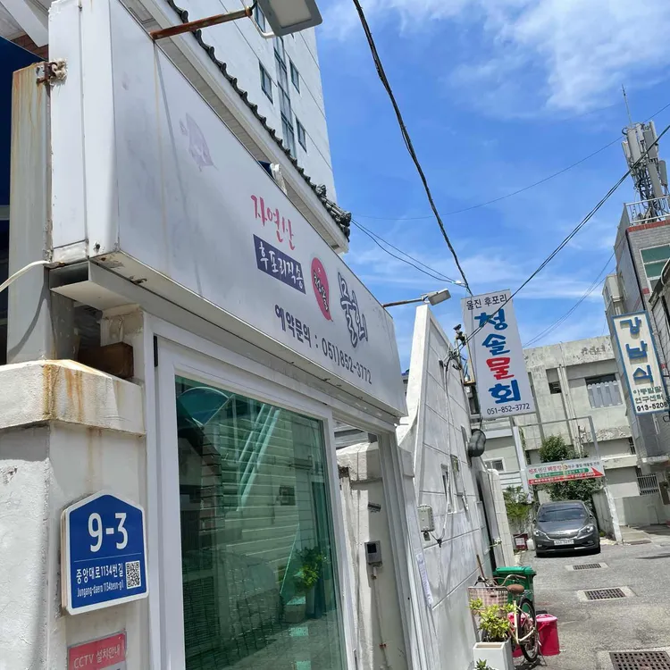 청솔물회 사진 2