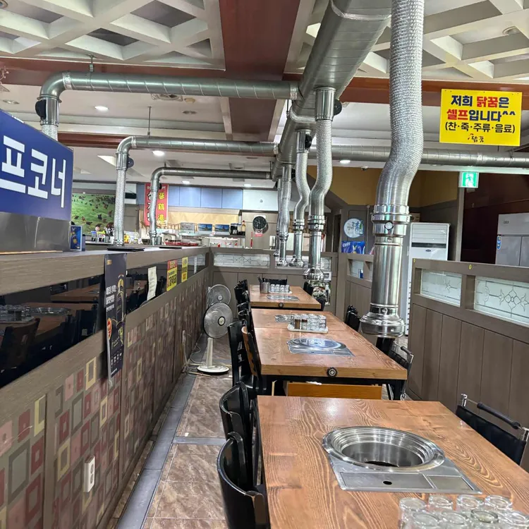 닭꿈 사진 1