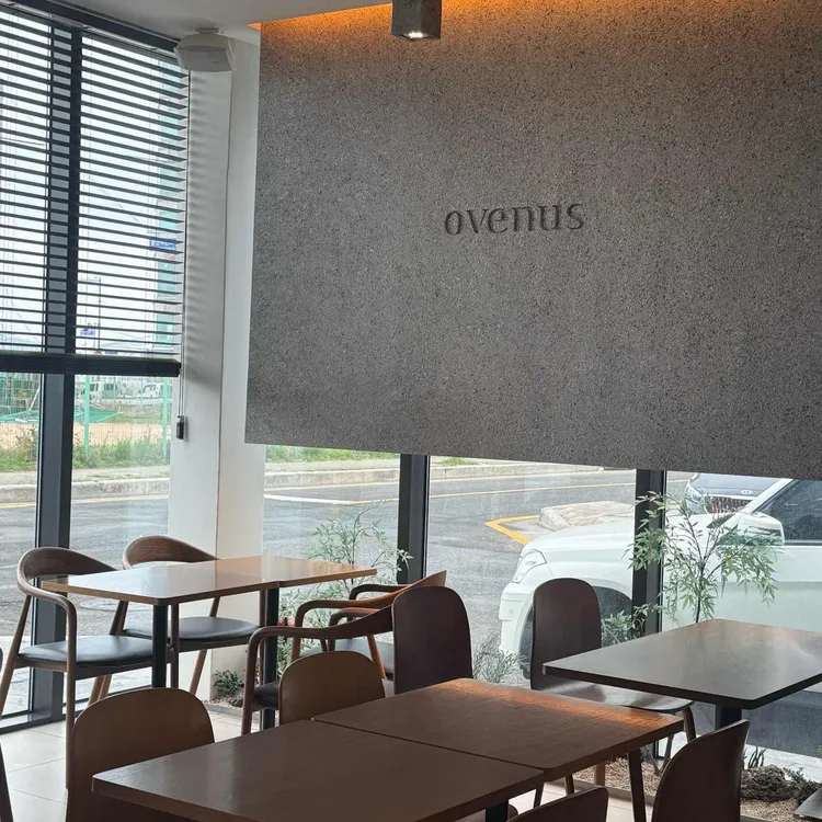 오브너스 대표 사진