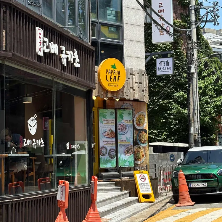 파파야리프 대표 사진
