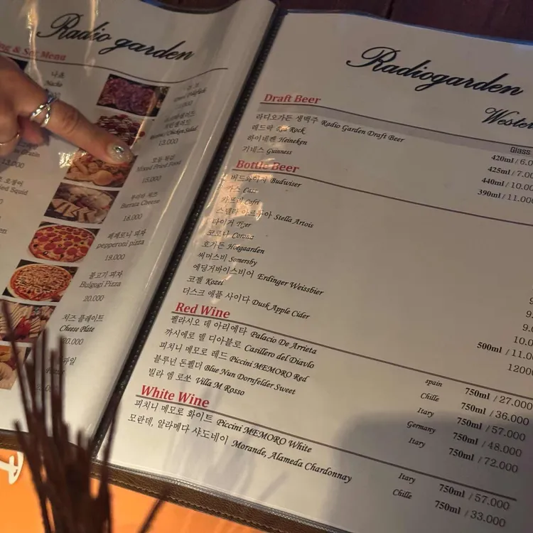 라디오가든 대표 사진