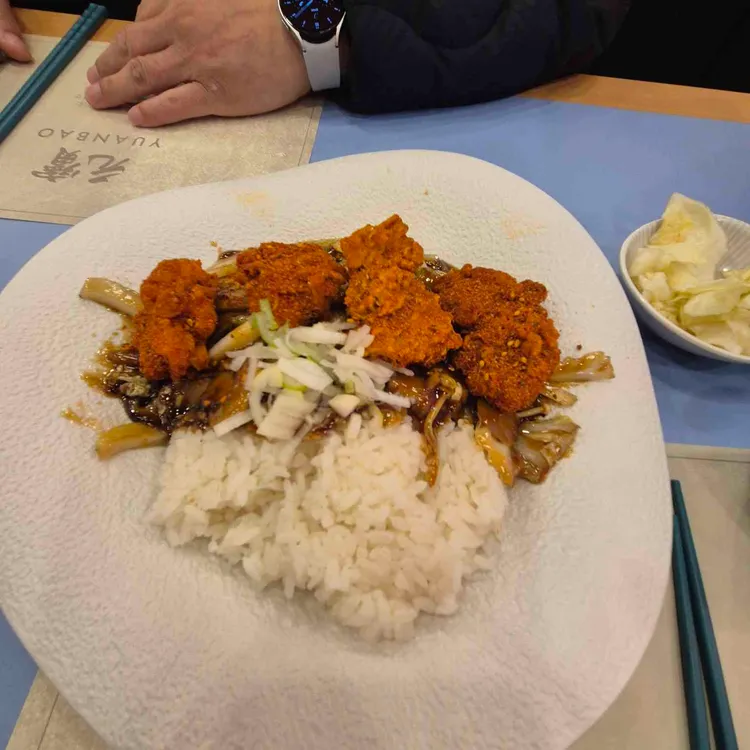 위안바오 대표 사진