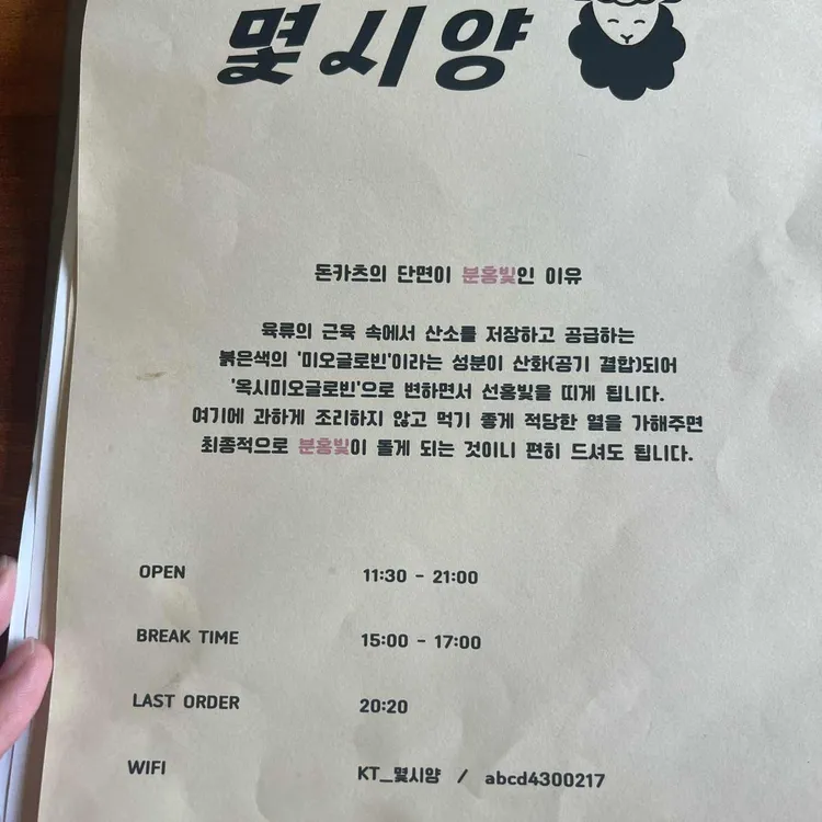 몇시양 대표 사진