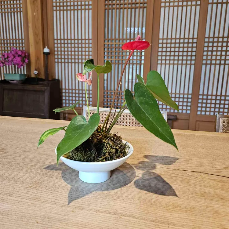 농도 대표 사진
