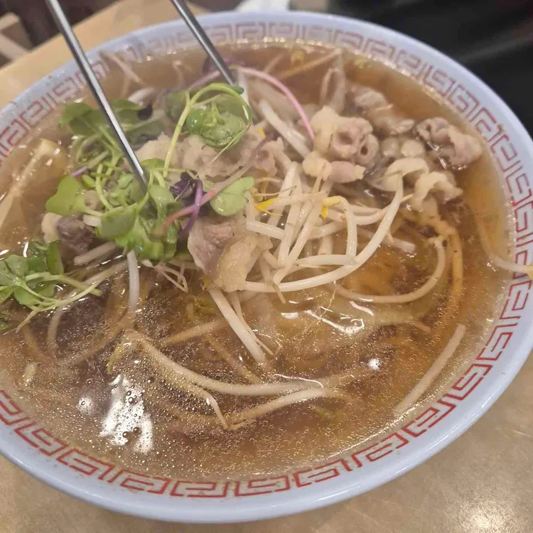 국수나무 대표 사진