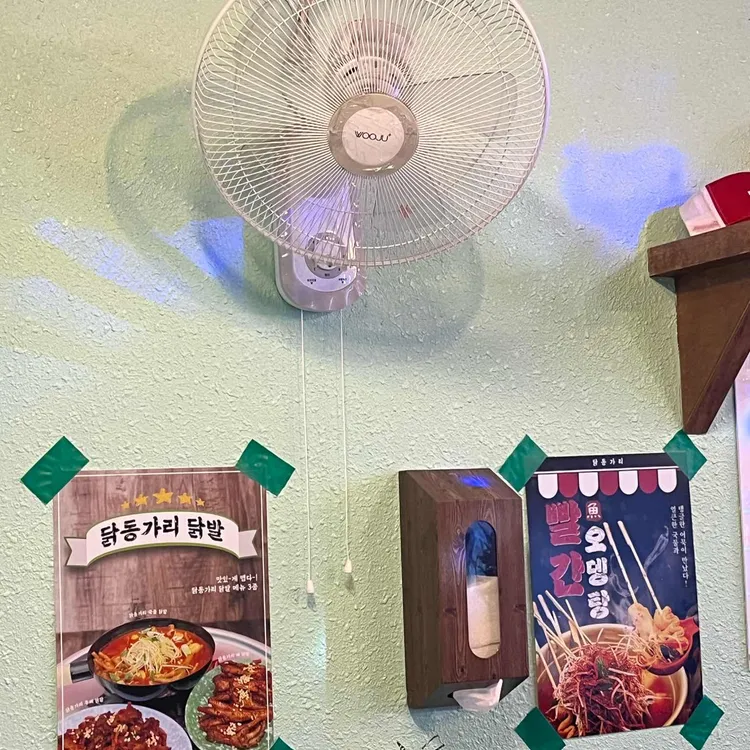 닭동가리 대표 사진