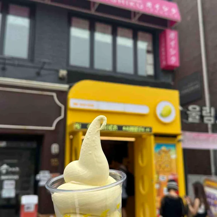 고망고 대표 사진