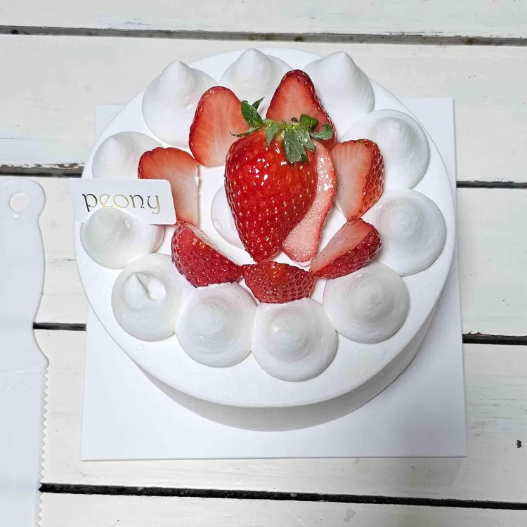 피오니 대표 사진