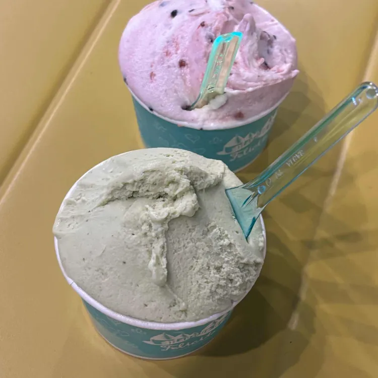 펠리치따 사진 1