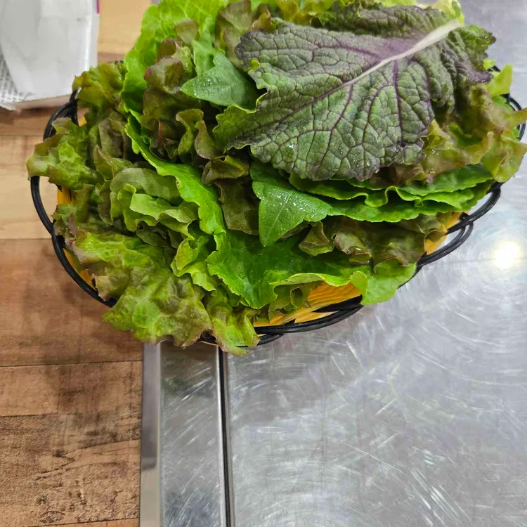 폴라리스 대표 사진