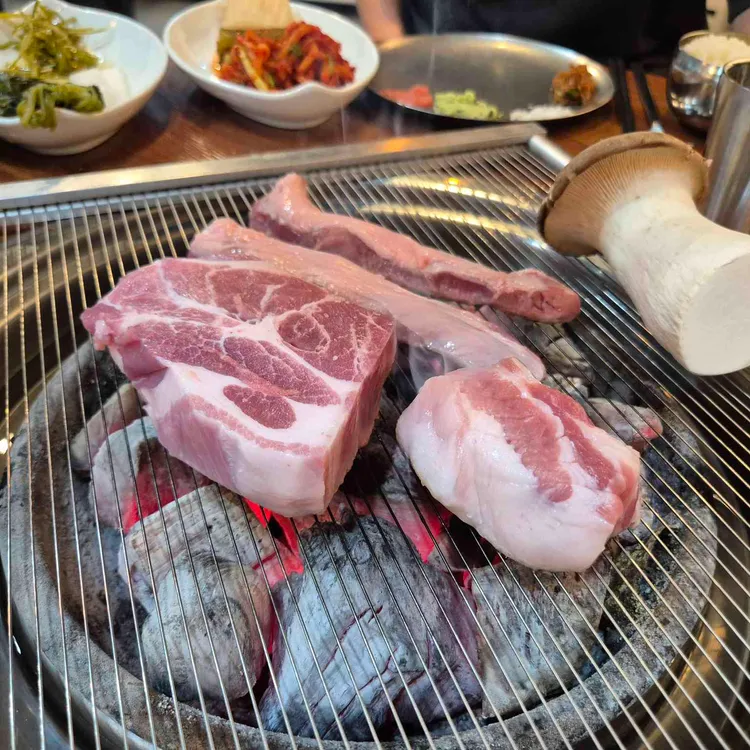 비가우돈 사진 2