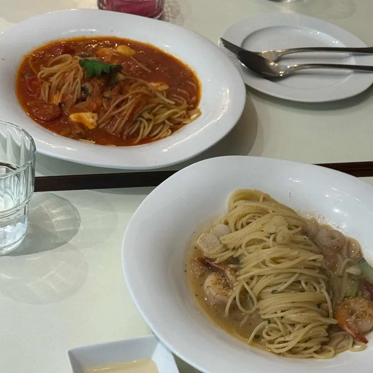 톨리브 사진 2