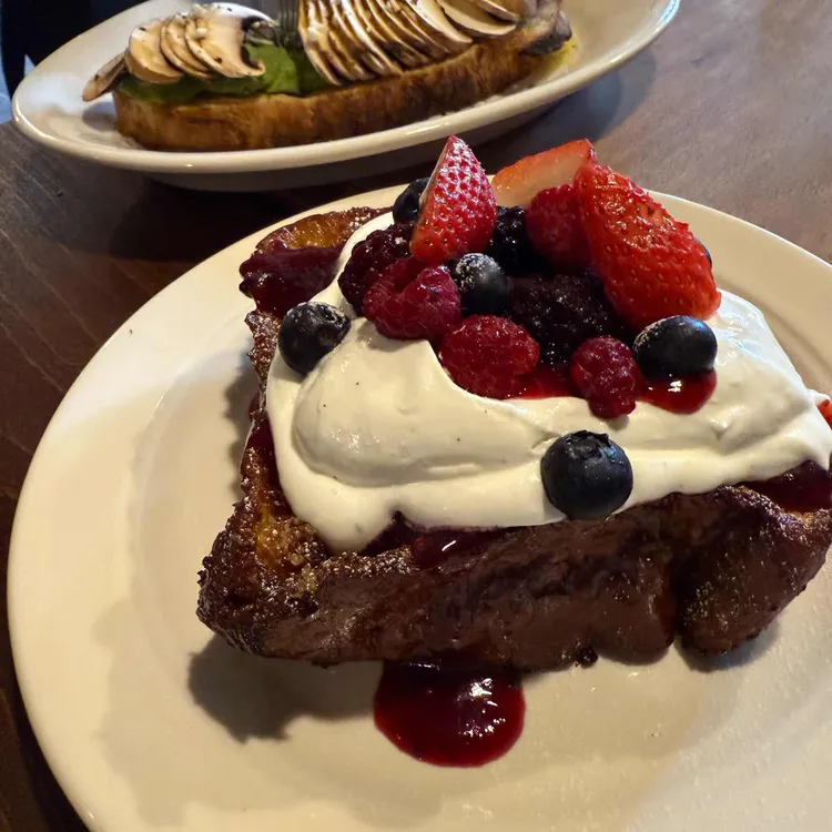 오파토 사진