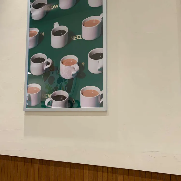 엔커피 대표 사진