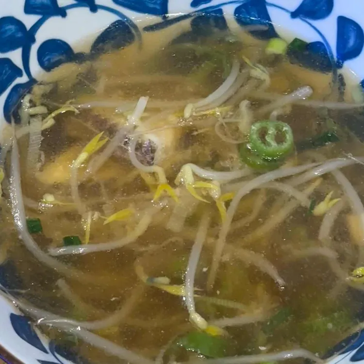 코미도리 사진 1