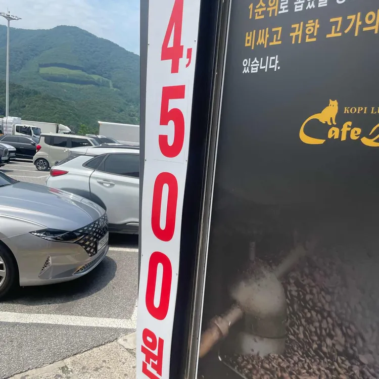 루왁커피 사진 2