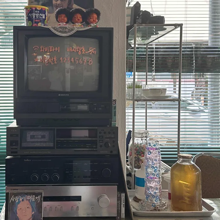 애시당초 사진
