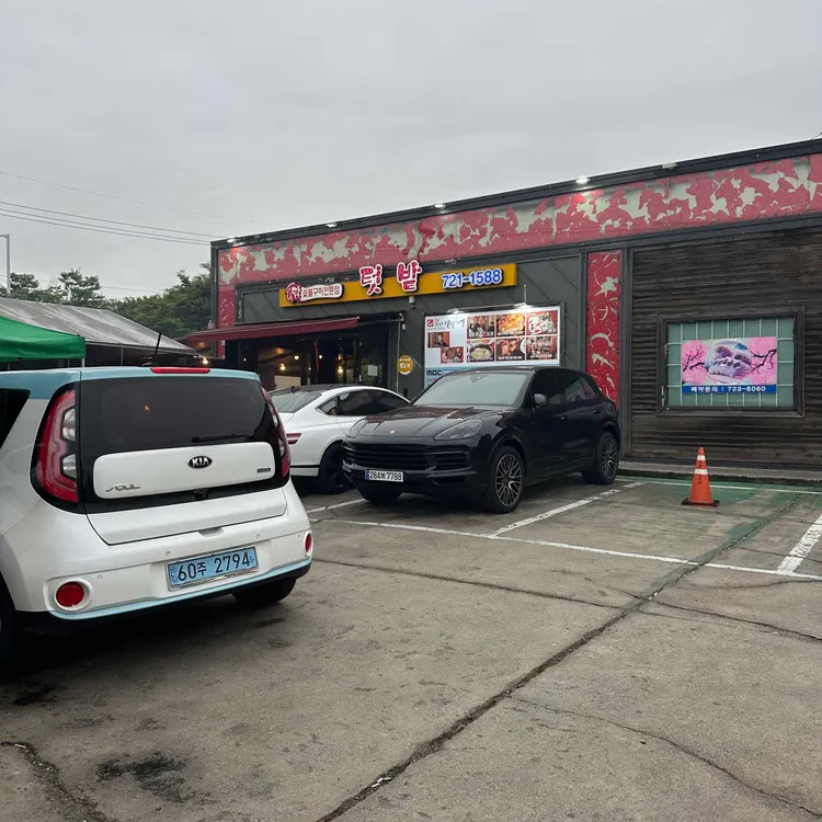 텃밭 대표 사진