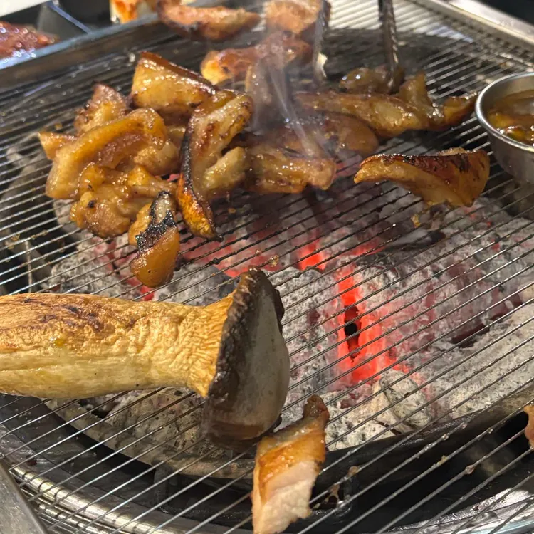식껍 사진 1