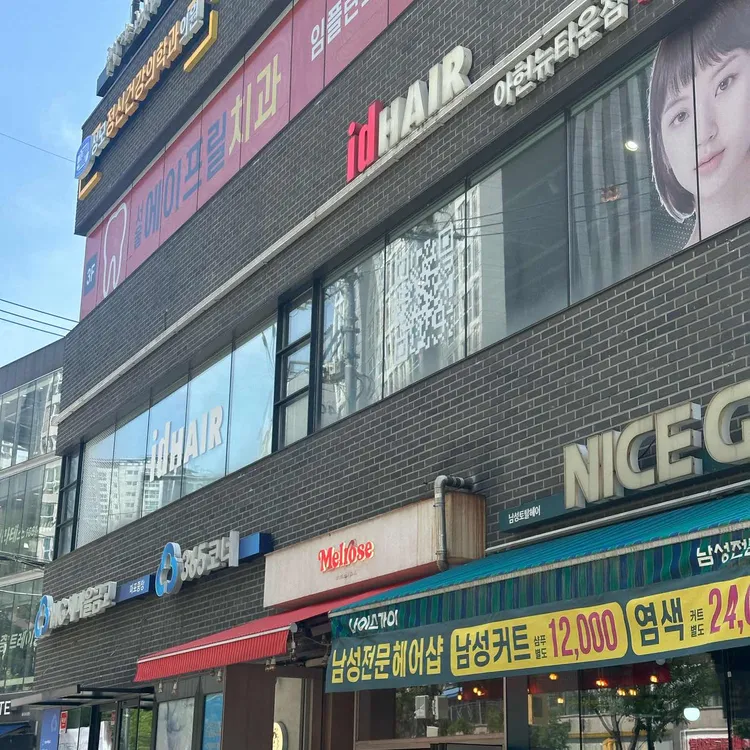 멜로즈 사진 1