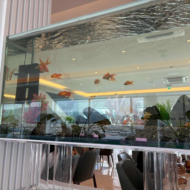 VISTA MAR 대표 사진