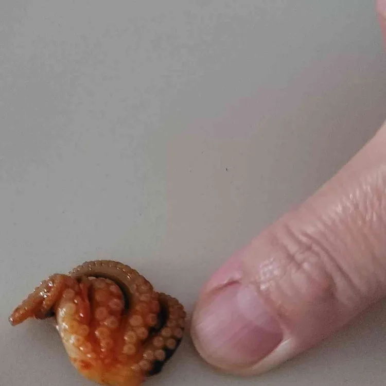 명동더식당 대표 사진
