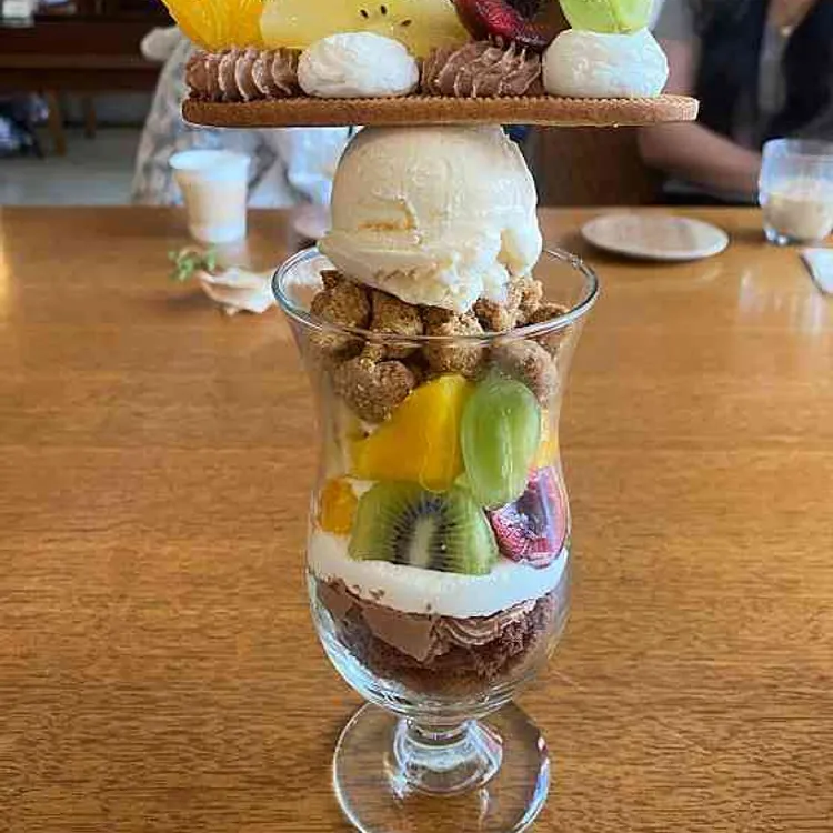 목련양과 사진