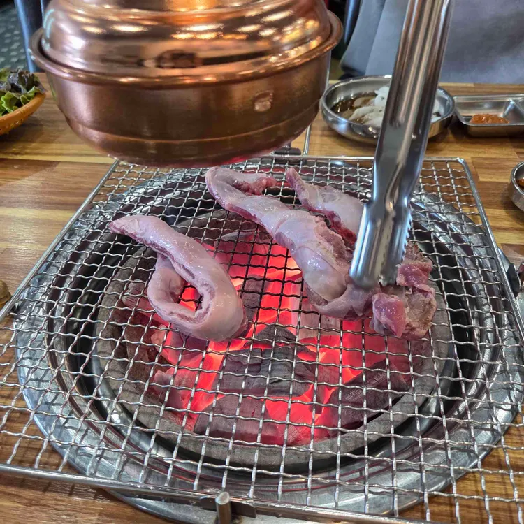 거기갈매기 사진 1