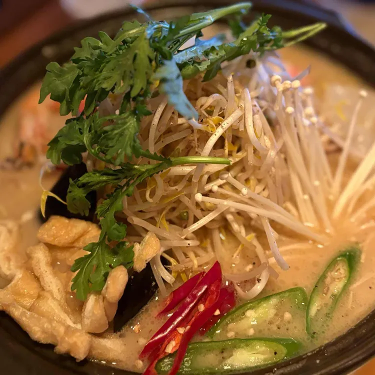 야젠 대표 사진