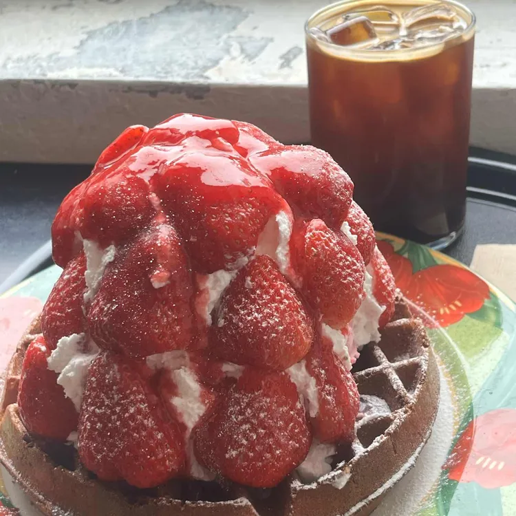 발루토 오목눈이 대표 사진