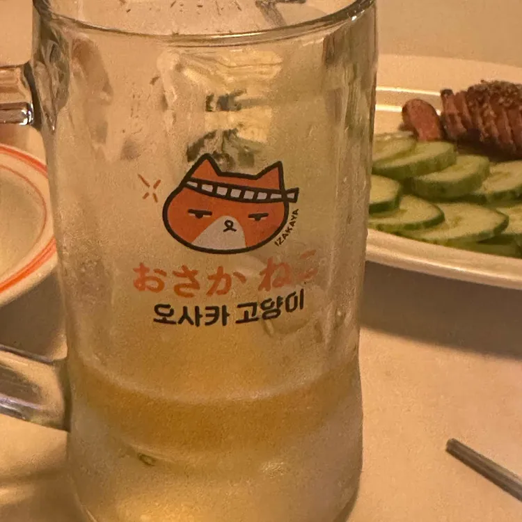 오사카고양이 사진 2