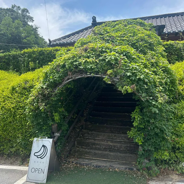 원프리카 카페 대표 사진