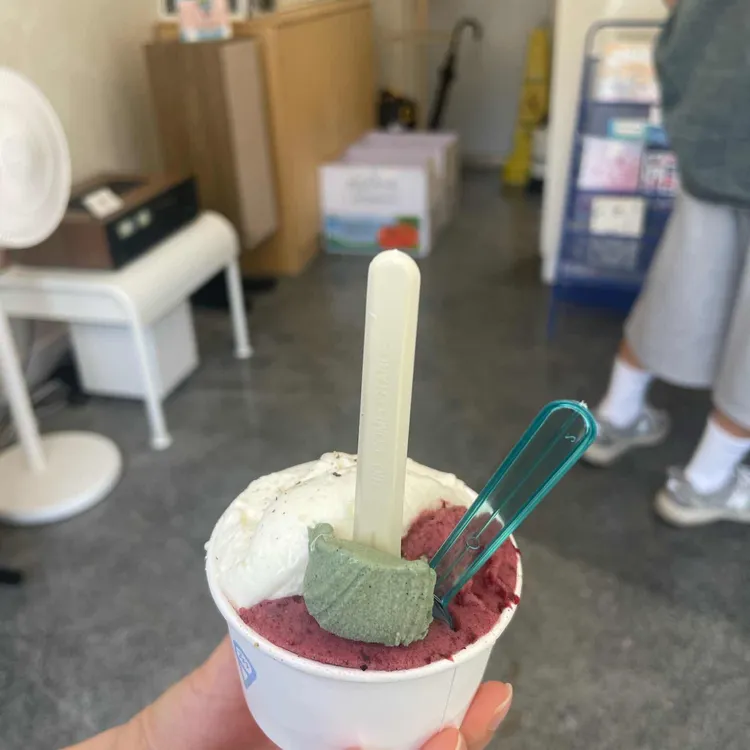 라또래요 대표 사진