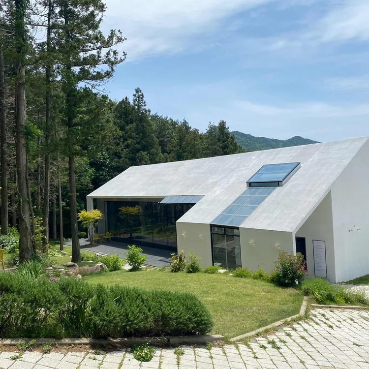 아이리 대표 사진