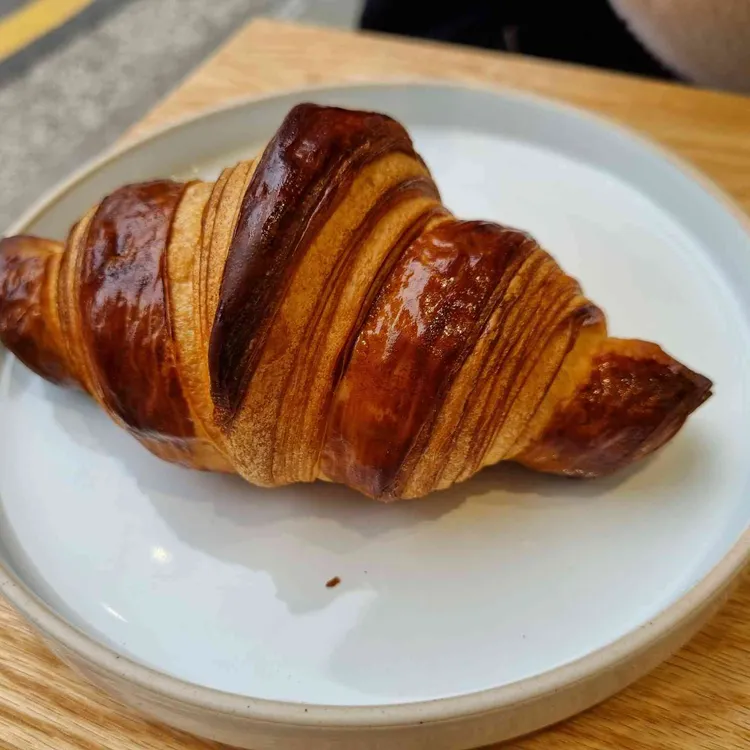 모멍데모시옹 사진