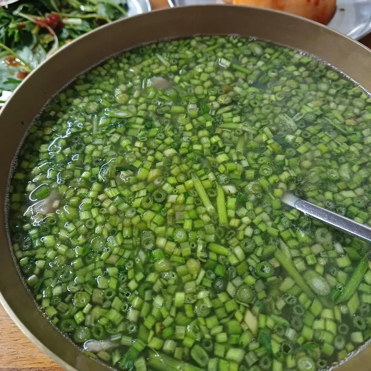 능동미나리 사진 1