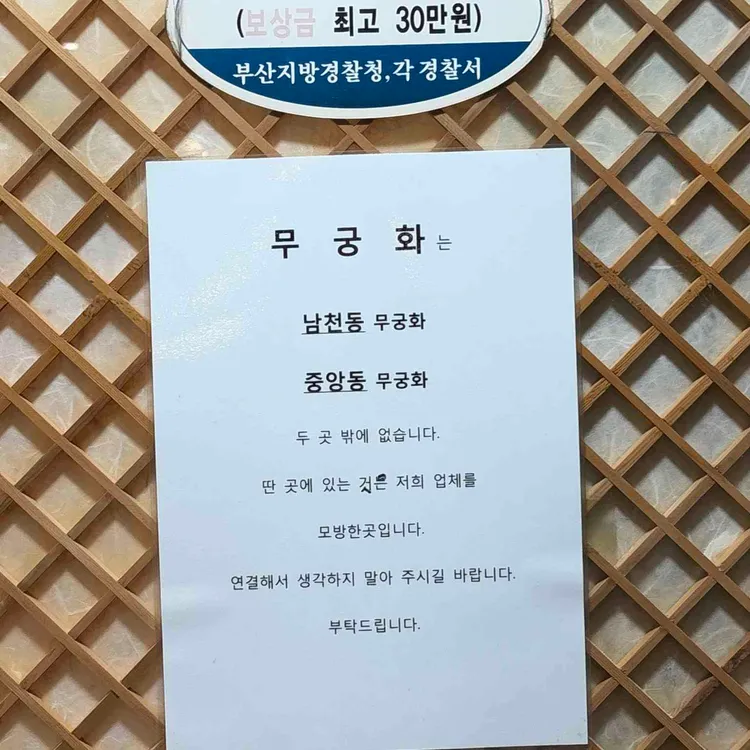 무궁화 대표 사진