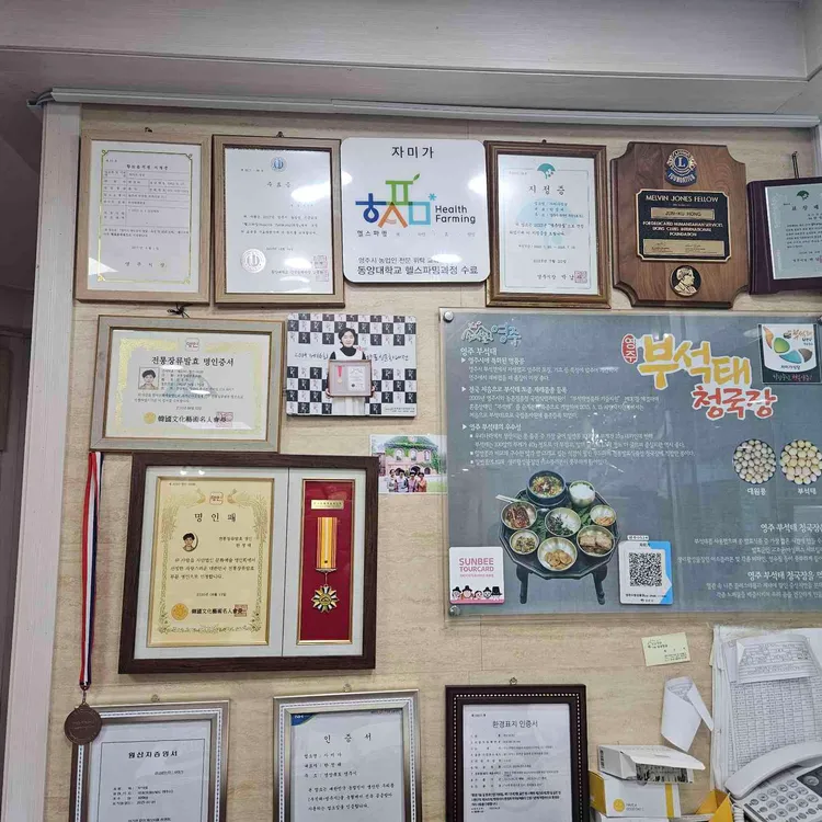 자미가 대표 사진