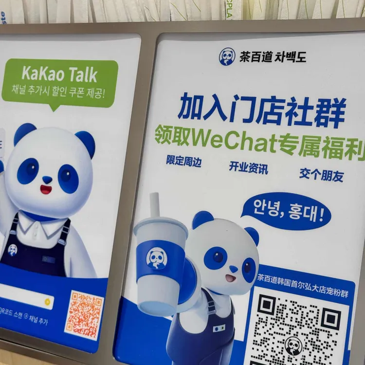 차백도 대표 사진